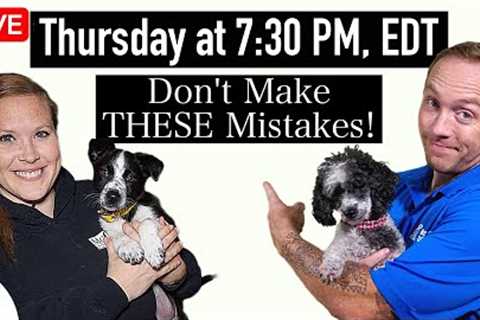 7 Puppy Training Shortcuts That UNDO Your Training!