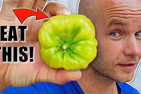 The Best Vegetable for Diabetes. I Finally Found it!