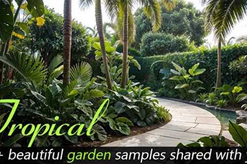 Tropical garden design, more than 75 beautiful models