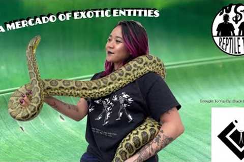 Episode 124 - Kina Mercado (Exotic Entities)