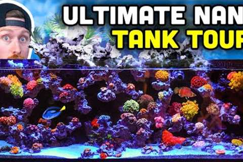 INCREDIBLE Desktop Nano Tank Tour with UNIQUE Aquascape!