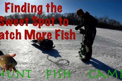 How to Catch More Fish by Finding the Sweet Spot on a Lake