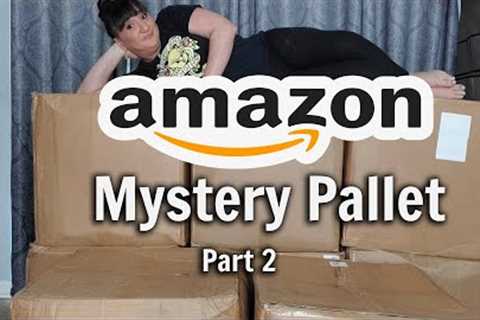Unboxing Some AMAZON Mystery Box | Part 2 | So Far Worth It?