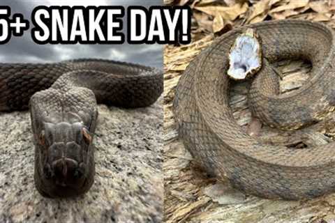 First Snakes of 2024! 15+ Snake Day, Massive Tiger Salamanders, and More!