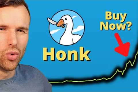 Why Honk is the next Bonk 🤩 Crypto Memecoin Token Analysis