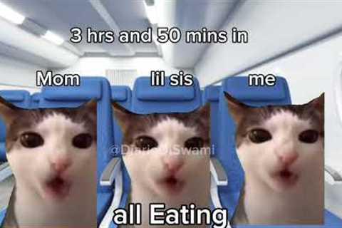 Travel to dubai☁✈ 🍩🐈 #memes #cats #funny