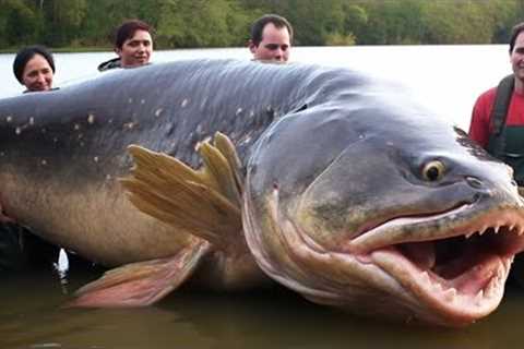 20 Biggest Catches Of All Time