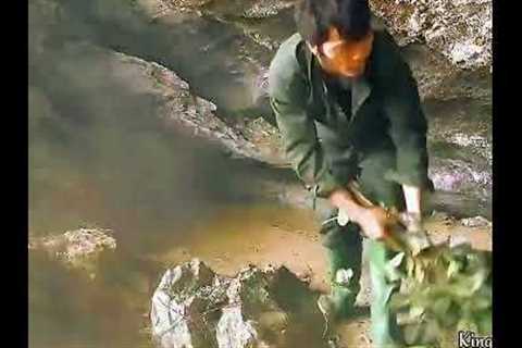 primitive jungle lifeskills part 3
