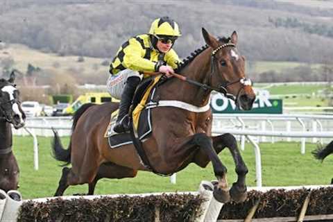 SIR GINO sparkles in Triumph Trial
