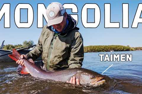 Fly Fishing Mongolia: TAIMEN - The World's Largest Salmon