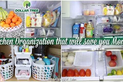 Kitchen Organization that will save you Money ~ DOLLAR TREE ORGANIZATION ~ Best Organization Hacks