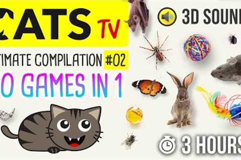 CATS TV -  ULTIMATE Games Compilation for CATS &amp; DOGS #02 (50 games in 1)  - 3 HOURS
