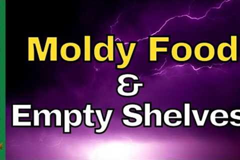 Supply DISAPPEARS &amp; Food Prices SPIKE - Food Shortage Updates