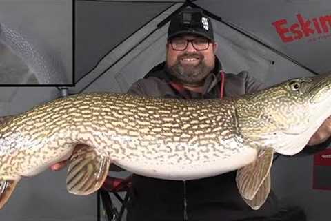 Found a BIG PIKE! | Ice Fishing Underwater Camera!