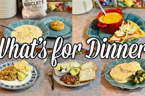 What’s for Dinner | EASY &amp; QUICK Budget Friendly Family Meal Ideas | January 2024