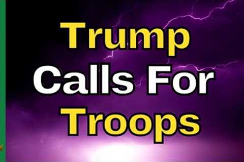 Militias ACTIVATED | 14 States DEPLOYING Troops |Texas Border CRISIS