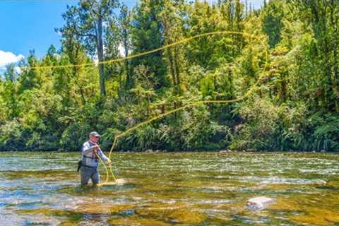 Fly Fishing for Big Backcountry Trout (New Zealand)
