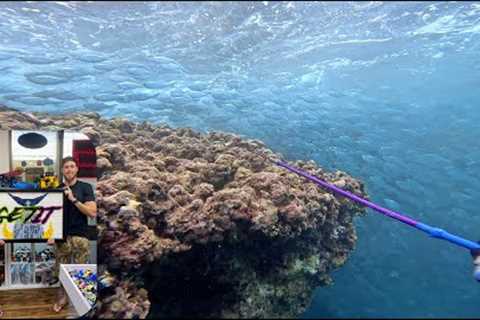 Biggest School We Ever Seen  / 3 Prong Action / Went to Lego Land / Hawaii Spearfishing Vlog