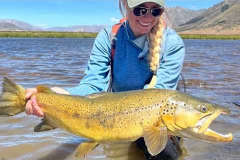 The Best Dry Fly Day Ever (New Zealand - Episode 5)