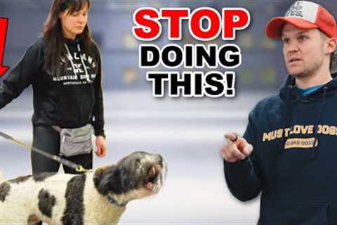 THIS Ruins Your Relationship With Your Dog