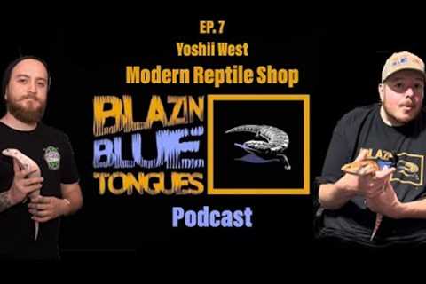 Ep  7 Yoshii West of Modern Reptile breaks down Blue Tongue Breeding and outdoor keeping.