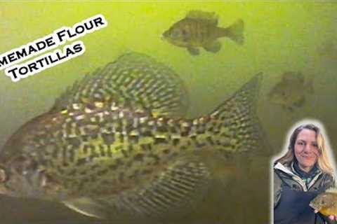 Panfish Feeding Frenzy! Catch and Cook Fish Tacos