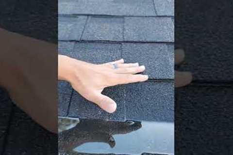 Low slope at bottom of roof with BAD roof leak