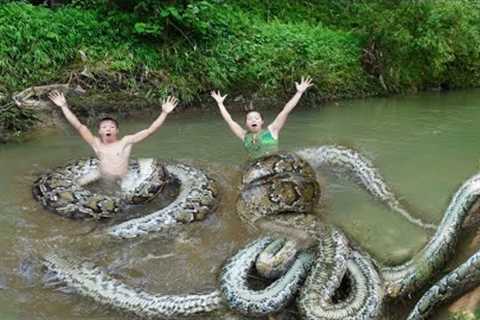 Primitive Life Catch Big Fish, Snake - Survival skills Top trending Videos Survival Cooking