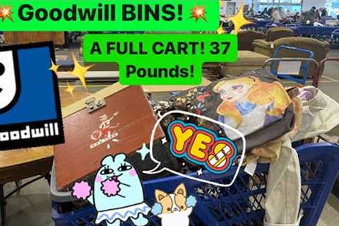 Let’s GO To Goodwill Bins! My Cart Was Overflowing! Come Thrift With Me For Resale! ++HAUL