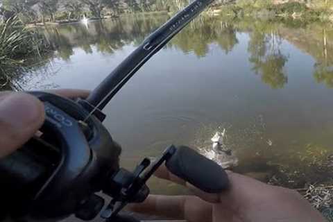 First time fishing Little Lake.