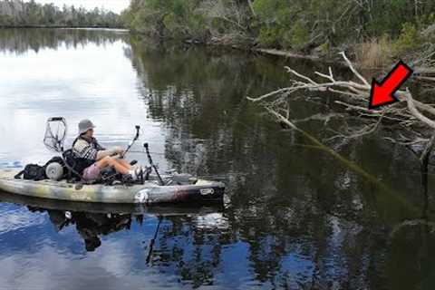 This Tiny River has Fish Everywhere!?!