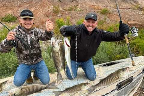 Lake Mead Is Drying up! The Fish Are Starving! {Catch Clean Cook} with Sin City Outdoors