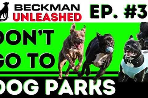 Why I am Done with Dog Parks! Tips to keep your dog safe if you decide to go and what to avoid.