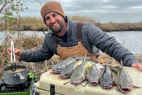 Bank Fishing for CATFISH and Cooking in the WILD (CATCH AND COOK)