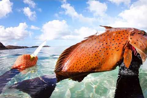 Catching The Best Eating Fish - Solo Camping An Uninhabited Island - Part 1