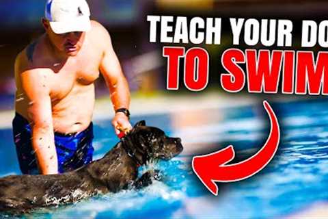 Puppy Learns to Swim for the First Time!