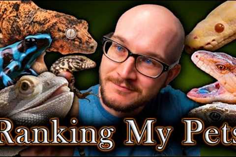 My Worst Pets? Ranking All My Pets | Reptile Tier List