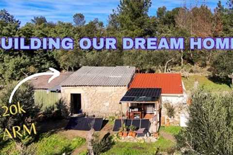 Working on our Abandoned Farm to Build our Dream Off Grid Home.