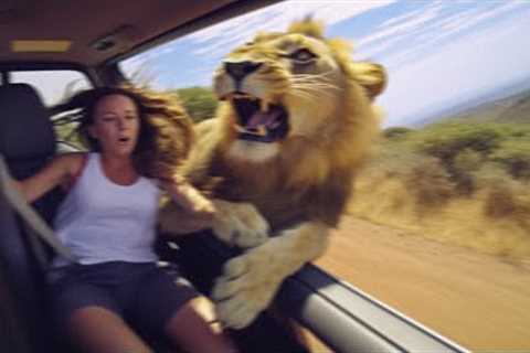Woman Gets DRAGGED Out of Safari Car by Lion...