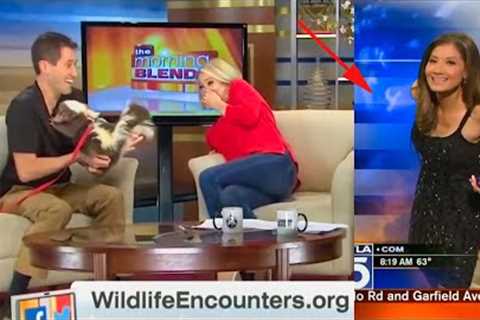 Funniest TV News Bloopers of 2021