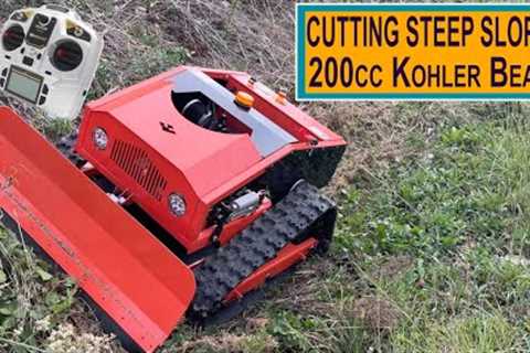 RC Lawn Mower |  Buying, Unboxing &amp; Testing