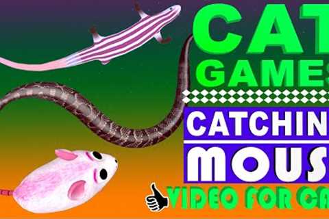 GAME FOR CATS - BEST 2023 Cat Games - Mice, Skink, Lizards &amp; Snake Video for Cats!
