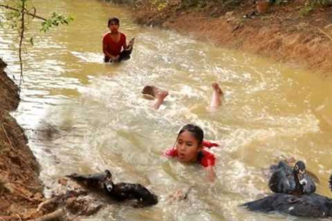 Survival skills-Catch duck for food of survival-Cooking duck spicy chili for dinner eating delicious