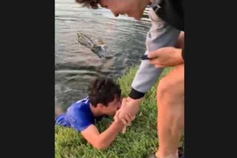 Fishing then Jumping In Florida Lake! ALLIGATOR INFESTED!😱🐊