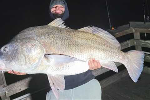 Winter Fishing Texas Piers for MASSIVE Black Drum