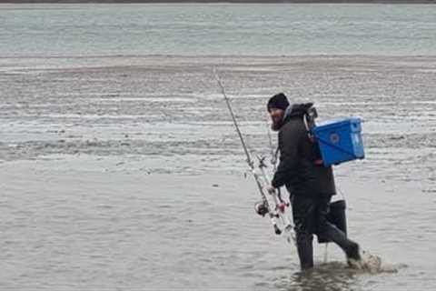 Bass Fishing Anglesey Tips | Bass fishing for beginners UK #bassfishingtips #fishing #fishinglife