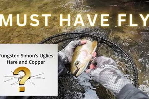 This is the Must Have Nymph【2024 NZ Fly Fishing for Beginners】