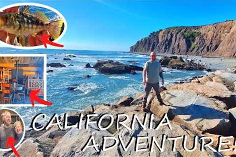 Exploring camping fishing and winging it on the coast