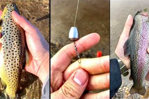 BEST Stocked Trout Setup for Beginners (No Live WORMS Needed!)