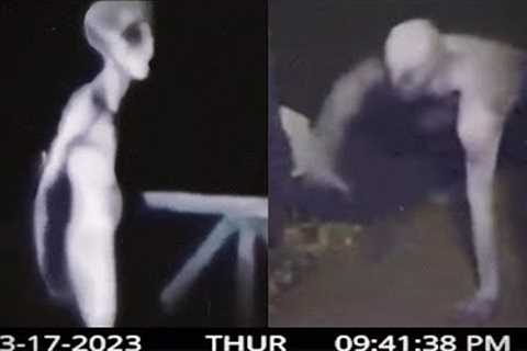 Freaky Alien Encounters That Can't Go Unnoticed